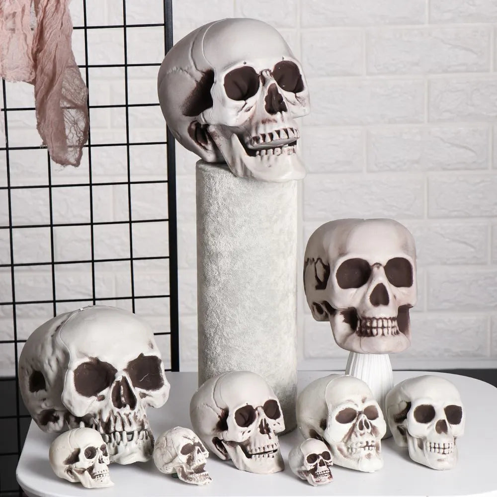 Halloween skull deals