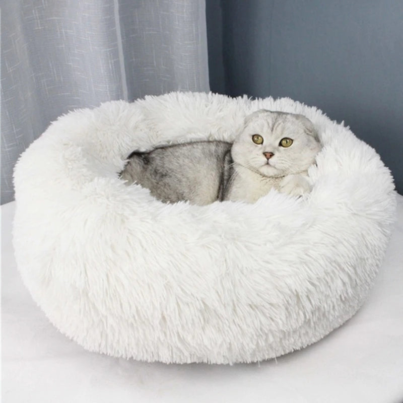 Comfy calming cat bed best sale